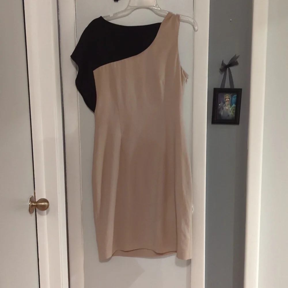 Women's Calvin Klein sleeveless Black & Tan Dress, Size 10 - Picture 3 of 5